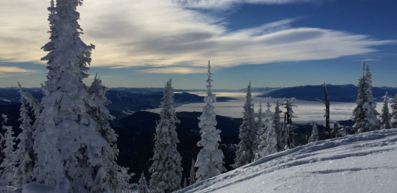 Level 1 Refresher Update Image