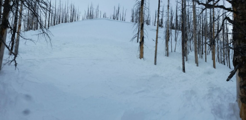 Recent Avalanches Image