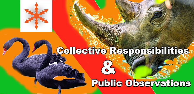 Black Swans vs. Grey Rhinos | Collective Responsibilities and Public Observations Image