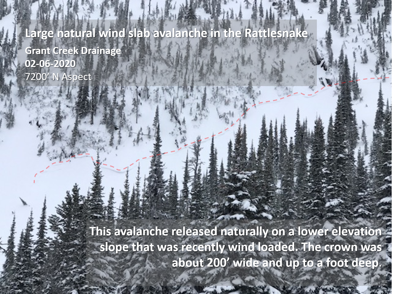 : <p>This slope released without a human trigger. The avalanche was a few hundred feet wide and up to a foot deep. This was the largest slide we witnessed in the Snowbowl backcountry today.</p>
