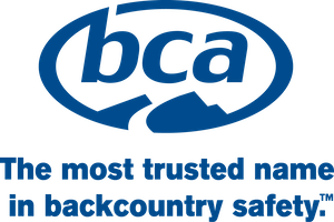 BCA Image