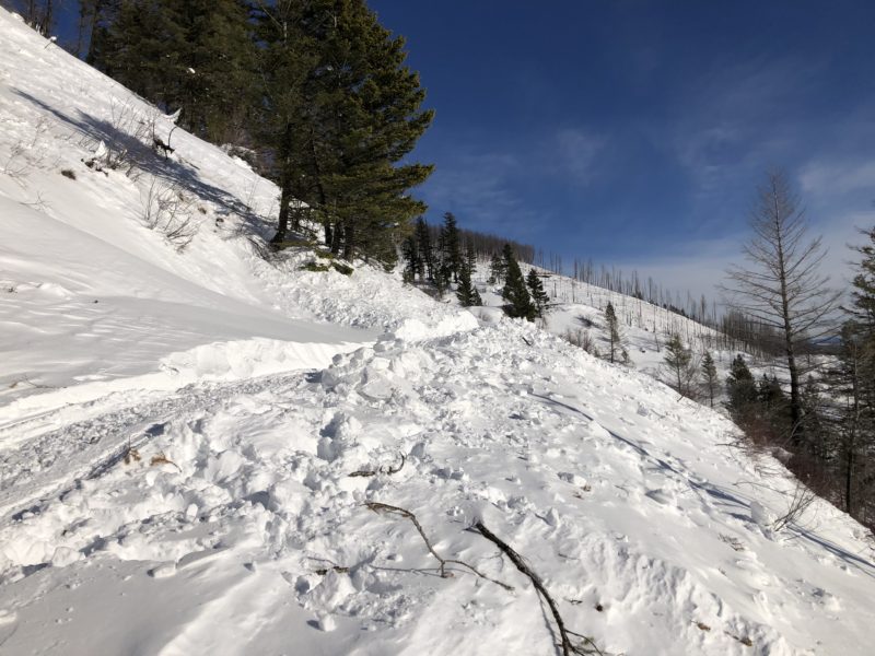 Where the avalanche buried the road (had since been dug out and bypassed by snowmobiles).