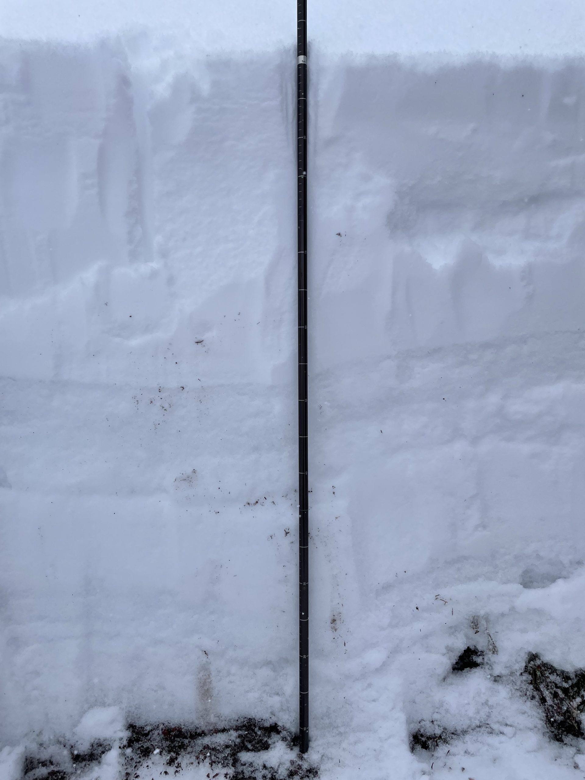 : <p>7900′ E Facing snowpit</p>
