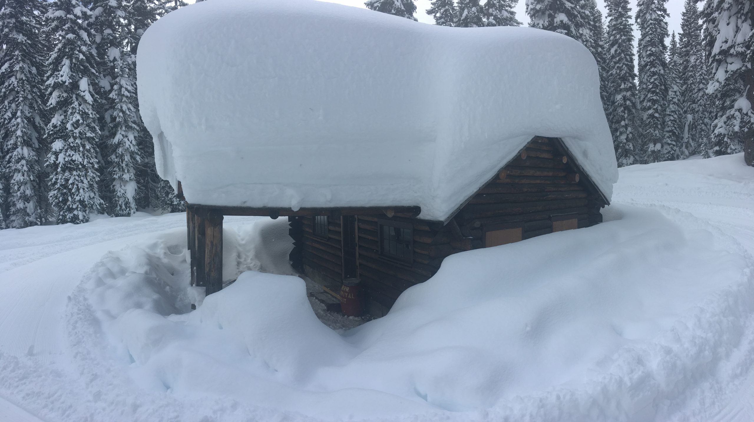 : <p>Snow has been piling up in Lost Horse Creek!</p>
