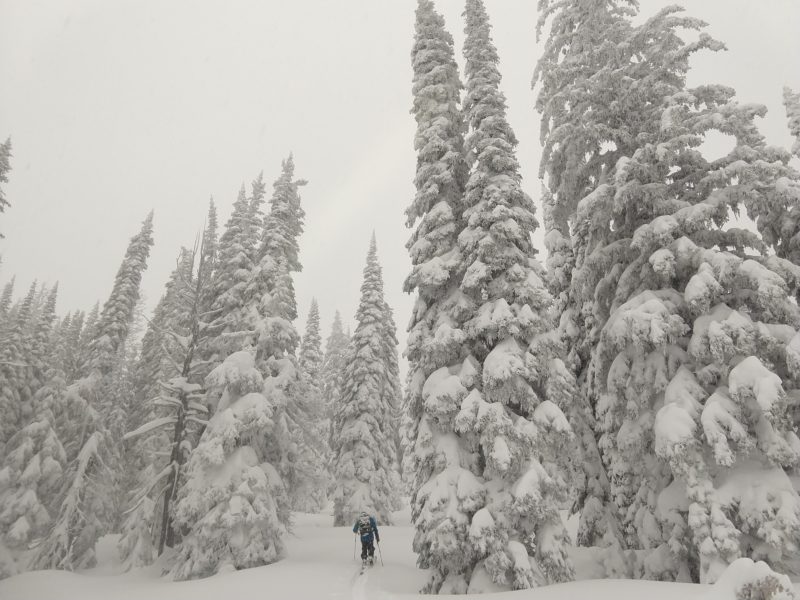 Heavy snowfall all day in the Lolo Pass area. 12/20/2021