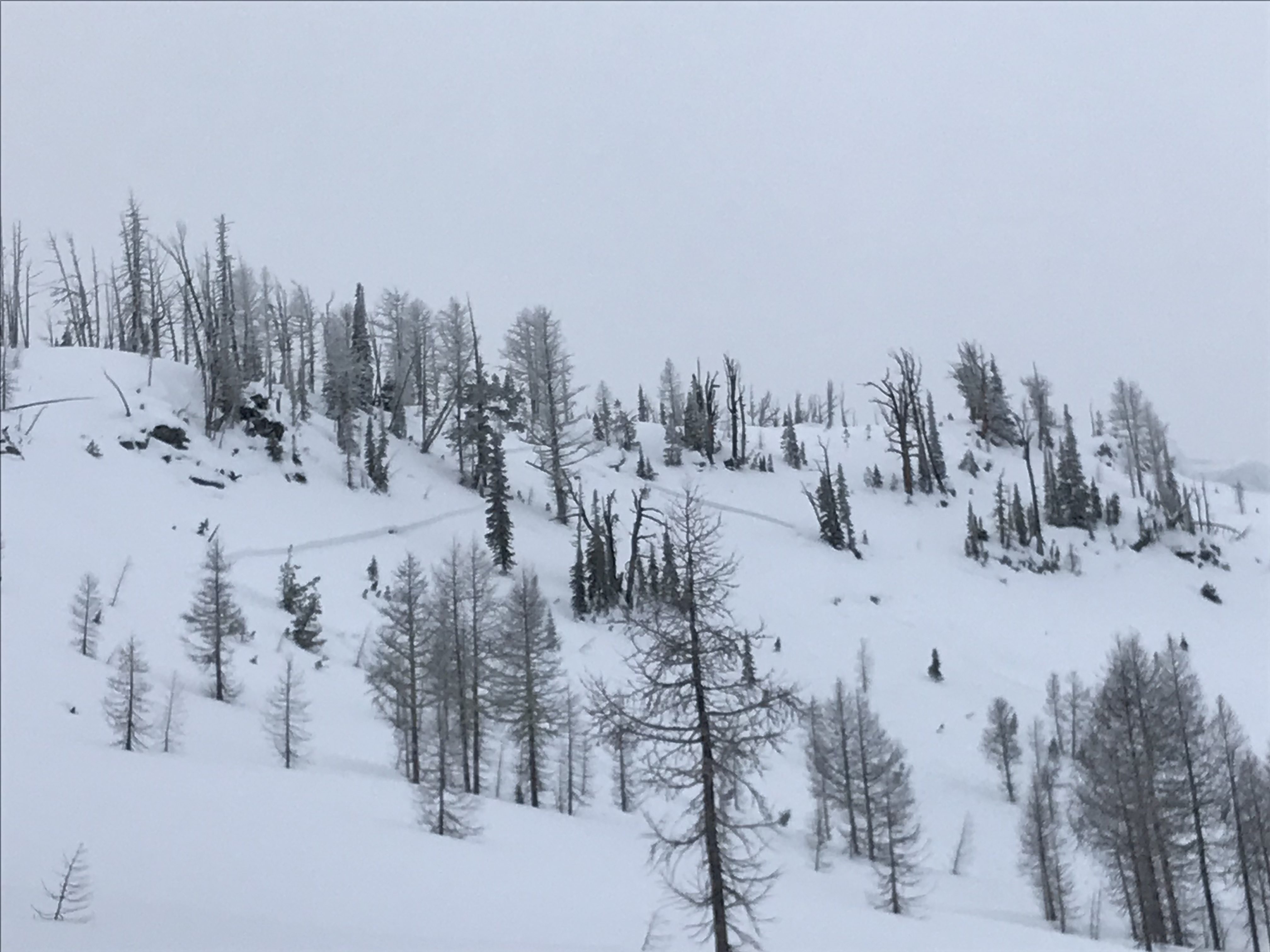 : <p>Windslab that was triggered by a skier near Gash on 12/19/18</p>
