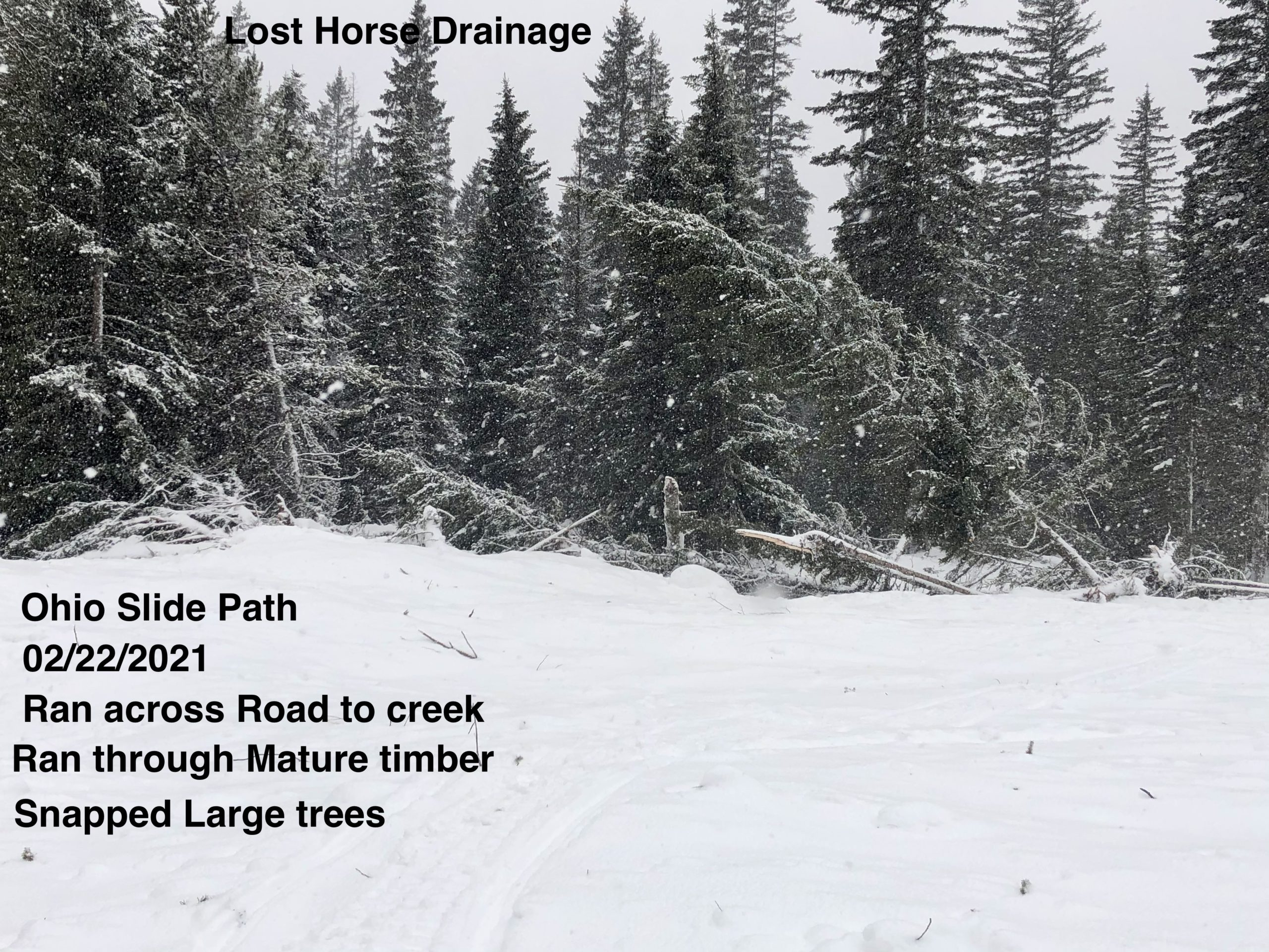 : <p>Lost Horse Drainage</p>
