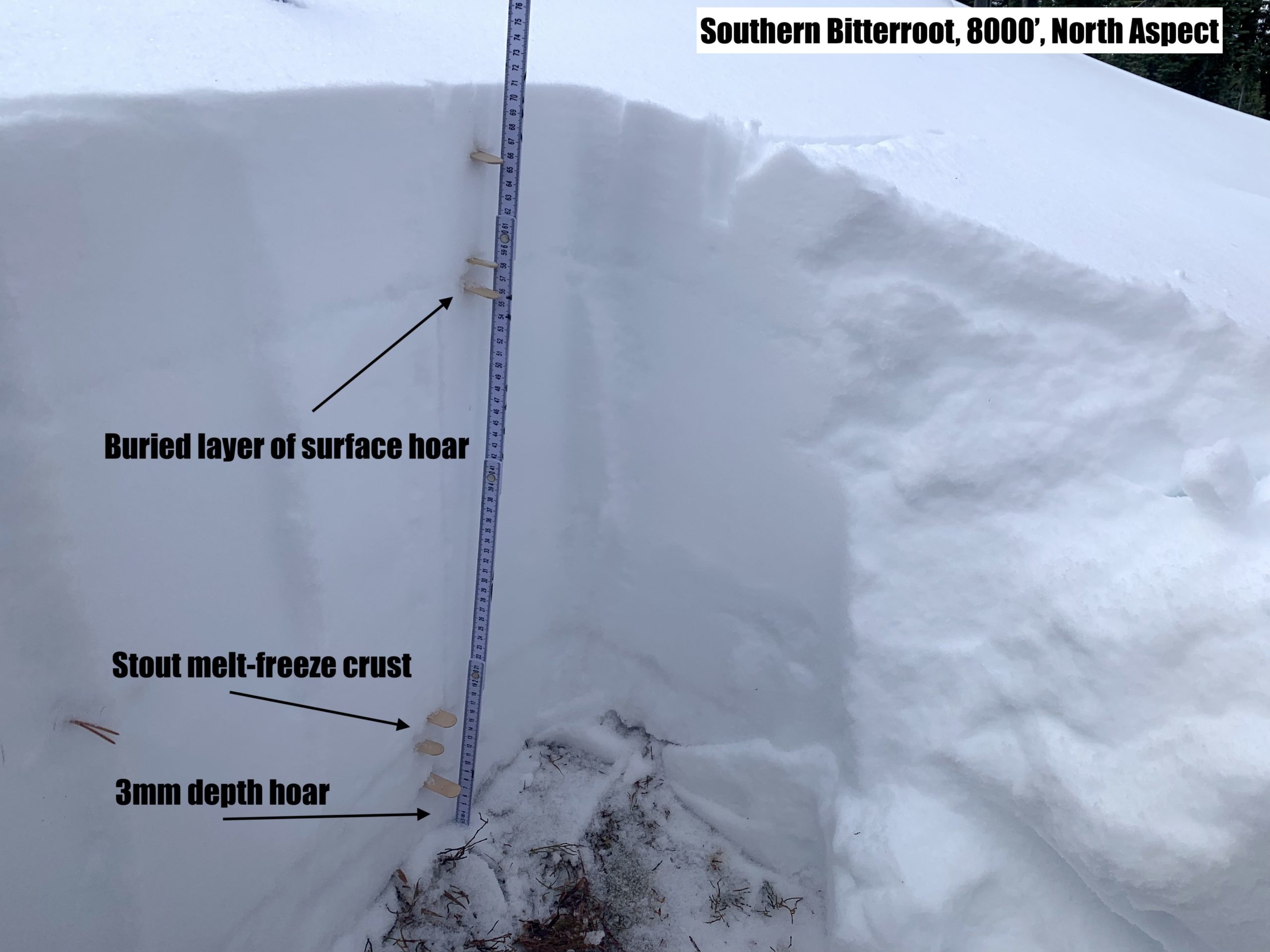 : <p>North Aspect, 8000′<br />
Poor Snowpack Structure</p>
