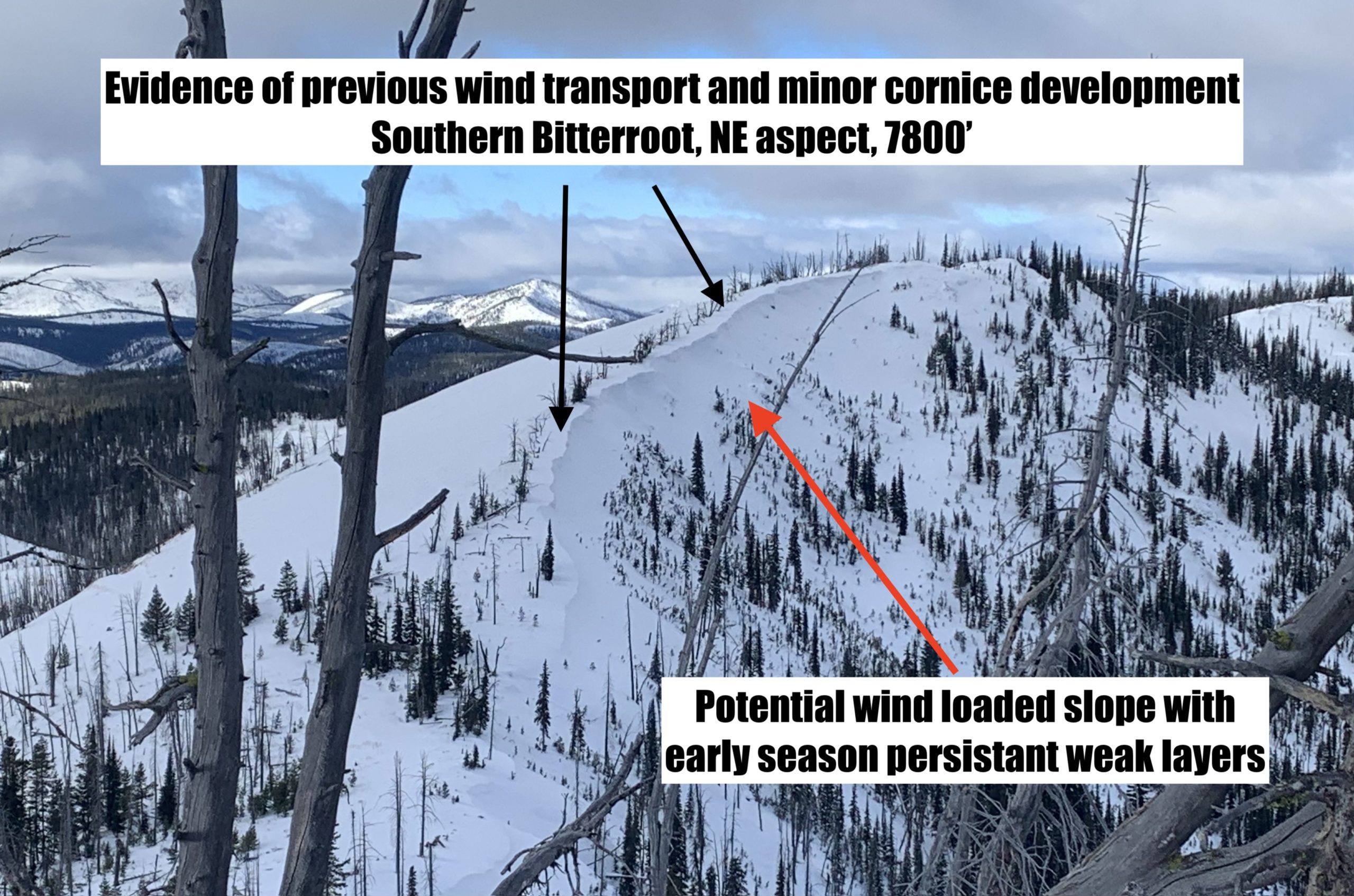 : <p>Evidence of past wind loading and minor cornice development</p>
