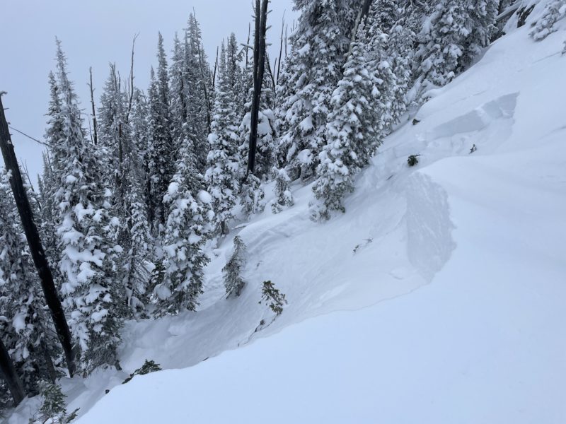 Remotely triggered D1 persistent slab avalanche on a NE aspect at 7,400 ft. 